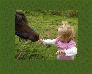 hanneke eerste rijles