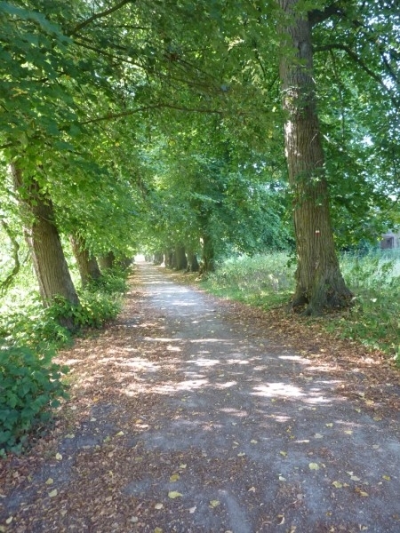 dreef van het domein