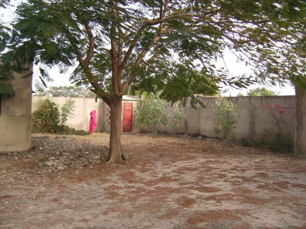 senegal jan,5  2009 137