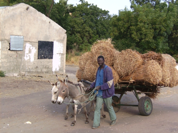 senegal jan,5  2009 179