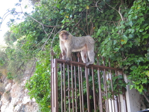 spanje 069