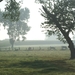 20080919-Zottegem 009