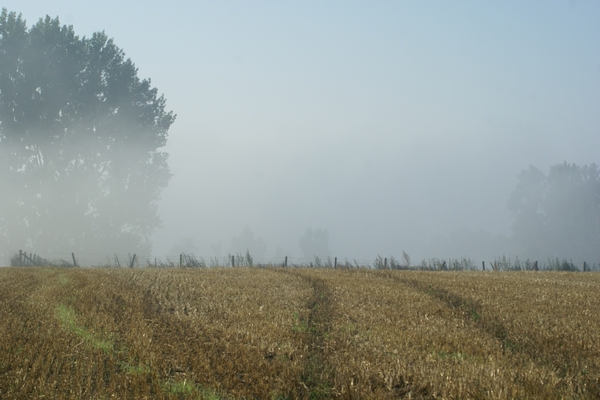 20080919-Zottegem 016