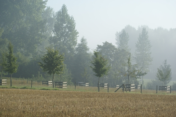 20080919-Zottegem 036