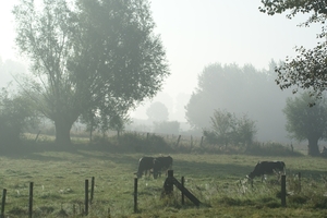 20080919-Zottegem 043