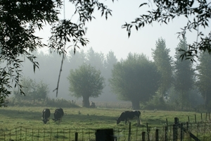 20080919-Zottegem 044