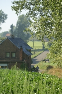 20080919-Zottegem 092