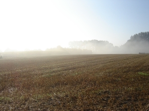 20080919-Zottegem CyberSony 008