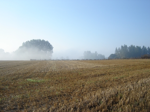 20080919-Zottegem CyberSony 010