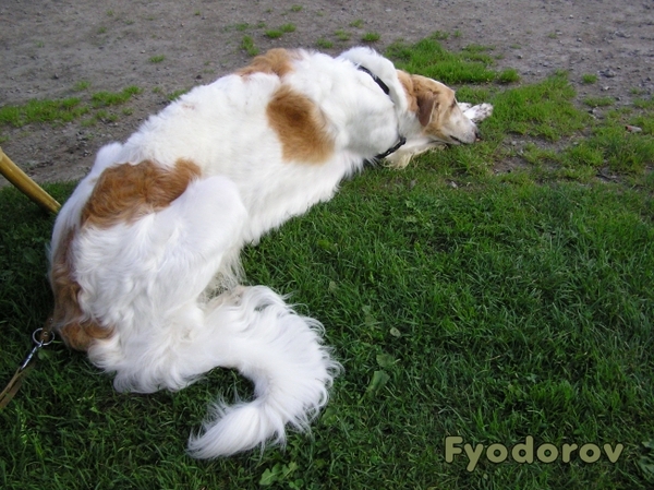 Fyodorov in het gras