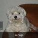 piet 012