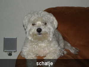 piet 012