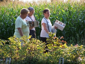 Wandeling 14 augustus Hulst 020