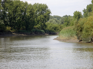 samenvloeiing van Durme en Schelde