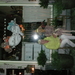 DSCN0486