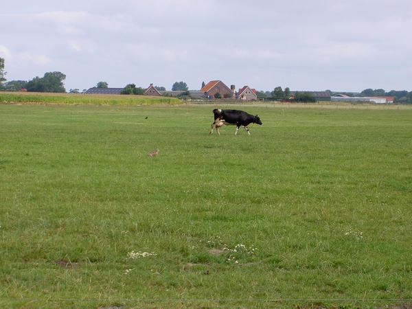 Onderweg naar Veere