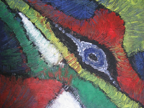 vogel, oog, kunst, verf, schilderij, eLWee, loes willemse,