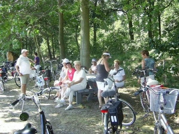 postel-retie 038 freddy