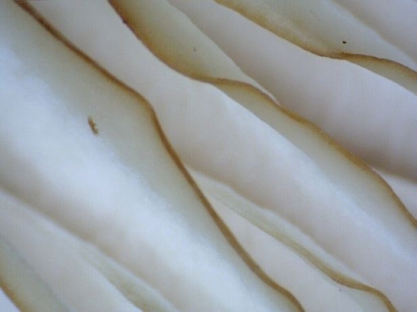 dagelijkse kunst in de Neerbeekvallei voor wie het wil zien