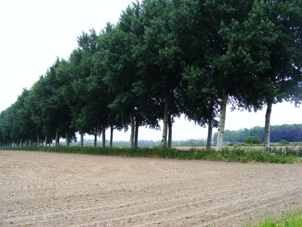 vanuit Marke kijkend naar Bissegem is er de lieflijke Leievallei