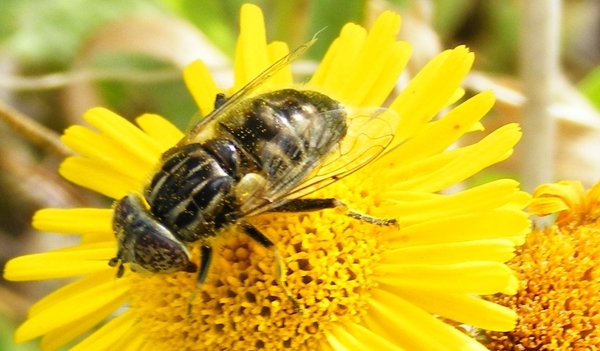 DSCF3098