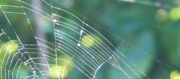 welkom in de Neerbeekvallei in Bissegem  Jozef Verplaetse