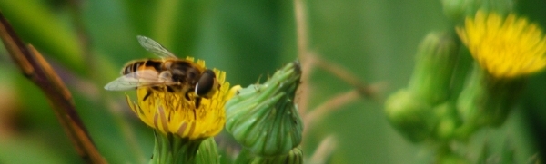 DSCF5346