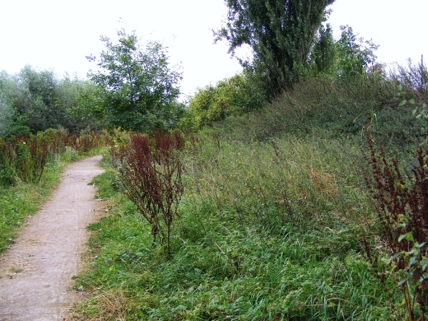 welkom in de Neerbeekvallei in Bissegem  Jozef Verplaetse