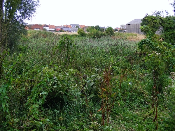 welkom in de Neerbeekvallei in Bissegem  Jozef Verplaetse