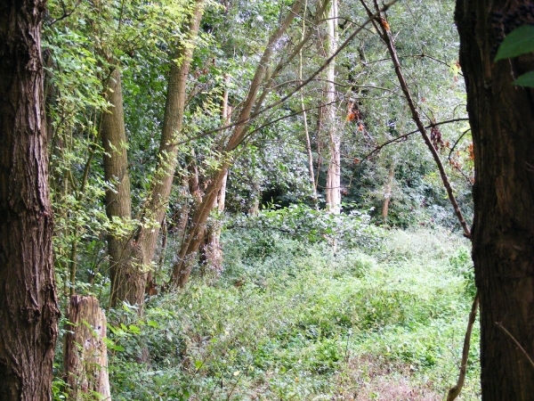 welkom in de Neerbeekvallei in Bissegem  Jozef Verplaetse