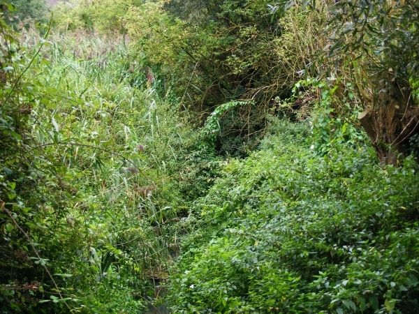 welkom in de Neerbeekvallei in Bissegem  Jozef Verplaetse