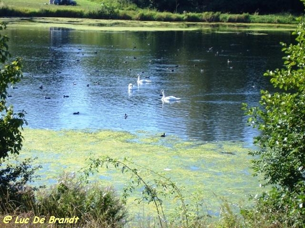 Ardennen Adeps wandeling Silenrieux