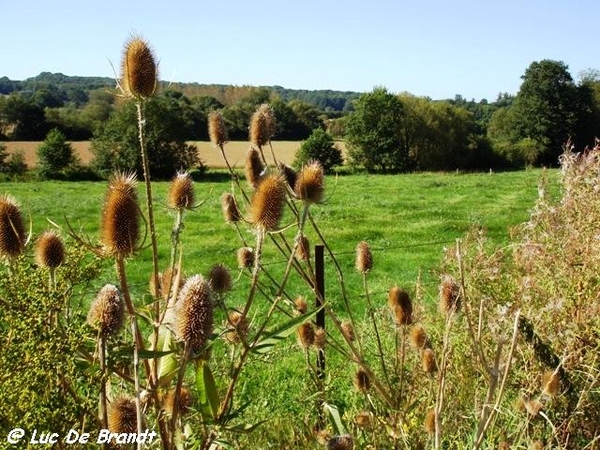 Ardennen Adeps wandeling Silenrieux