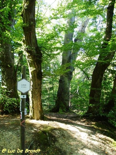 Ardennen Adeps wandeling Silenrieux