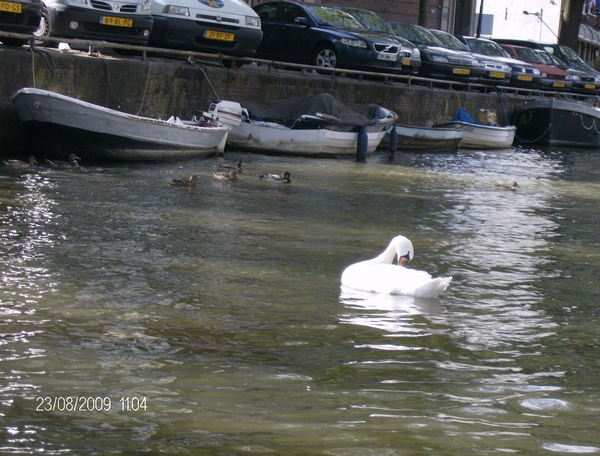 Amsterdam-Volendam augustus 2OO2 062