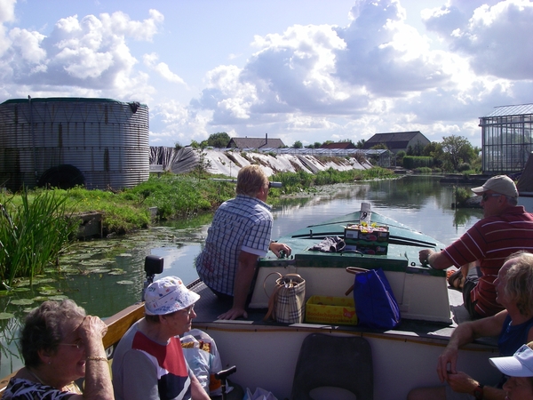 Greenport haantjes boegbeeld