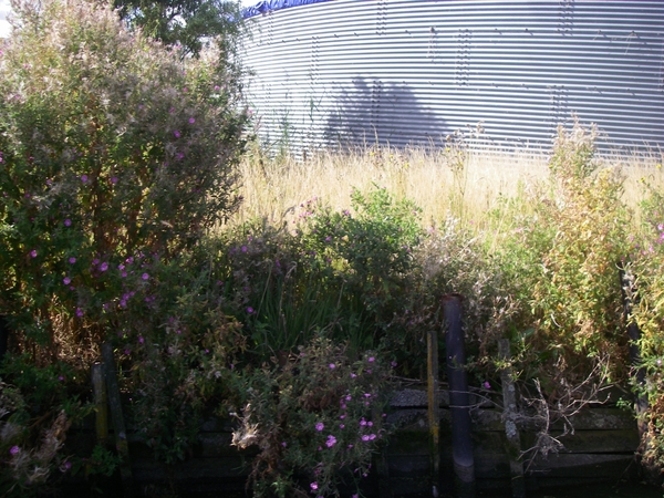 De natuur in volle glorie