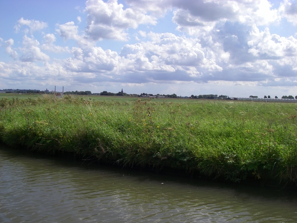 natuur gras water