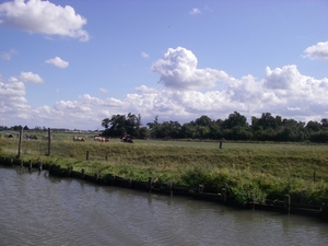 vergezicht op polderiek landschap