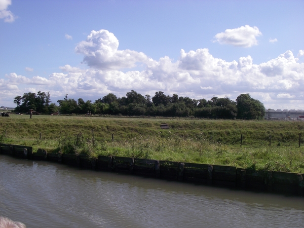 natuur wolken weer bomen