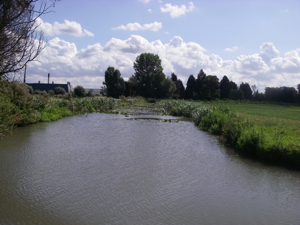 middeleeuws Cruqius watergebied Delfland