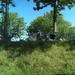 pano