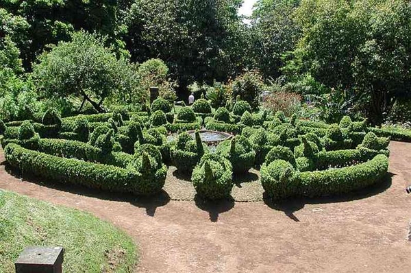 0- a  1a Madeira Engelsetuin1-l (Medium)