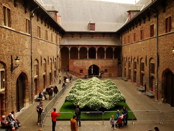 Bloemenshow in 't belfort