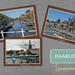HAARLEM