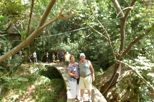 P1000184