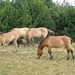 158-5848_IMG