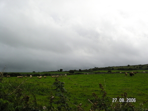 Ireland 007