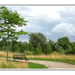 wandelpad