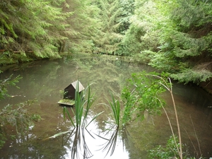 09.08.28.ZENDSCHEID FORRELVIJVER